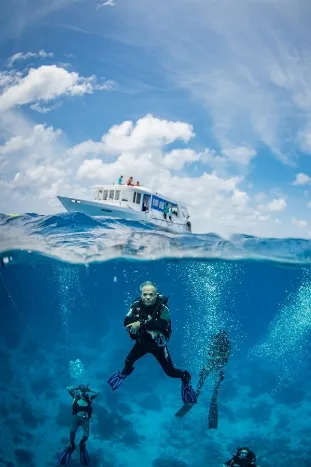 Divers below a Carpe Diem vessel
