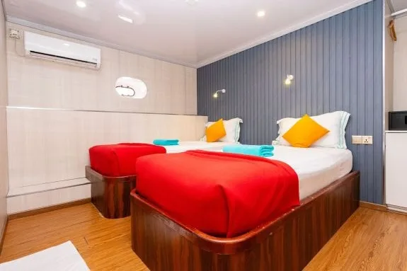Standard Cabins_0
