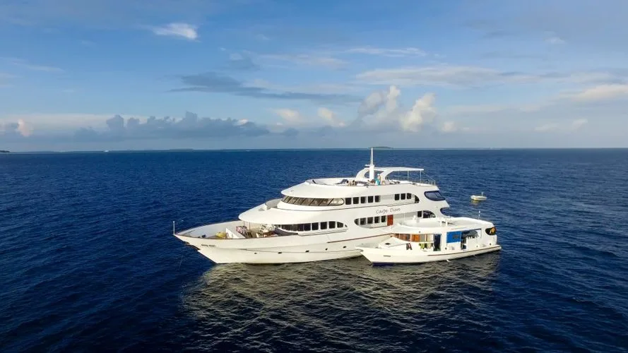Carpe Diem at sea